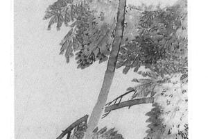 紫藤鹦鹉