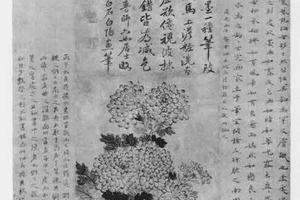 菊图