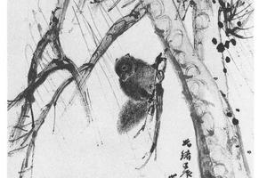 松鼠图