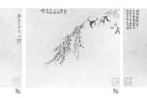 花卉图册
