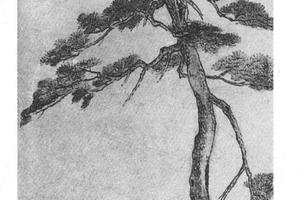 松荫高士图