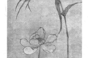荷花鹡鴒图
