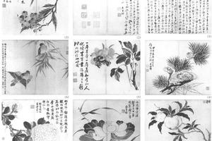 花果十二并