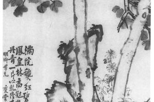 梧桐菊石图