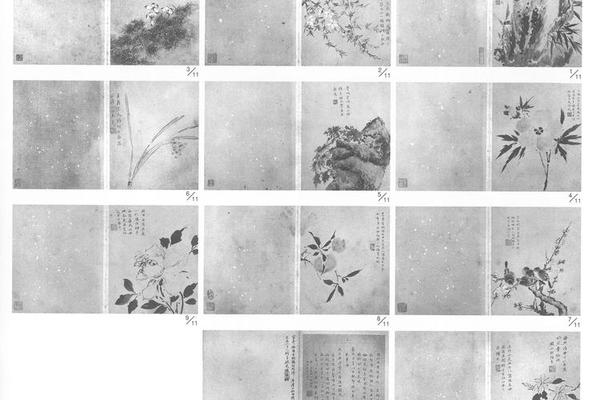 花卉图册