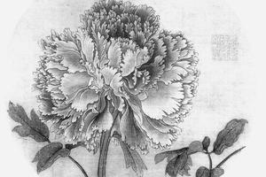 牡丹图