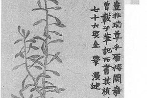 瑞草图