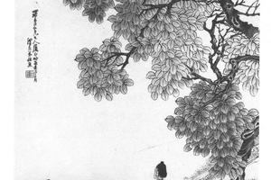 煮药图