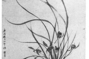 兰花