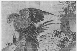 鹰雉子图