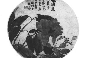 牡丹