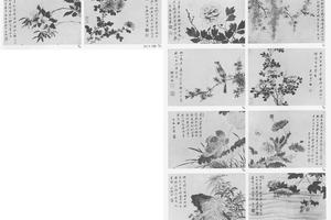 花卉图册