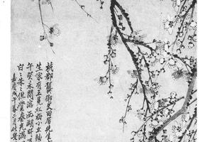 二色梅花图