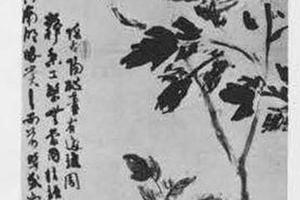 牡丹图