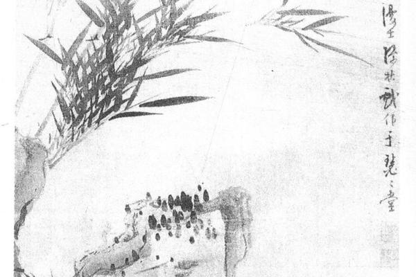 竹石图