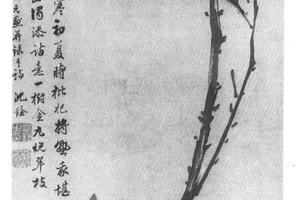 枇杷