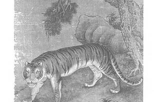 猛虎图册页