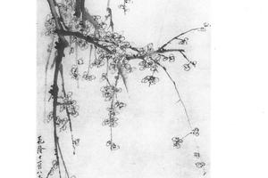 梅花