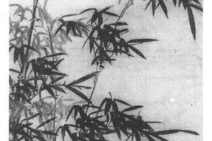 湘江新雨图