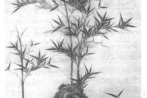 竹石图