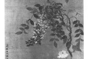紫藤虞美人图