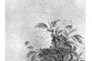 白芍药图