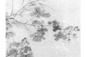 芙蓉鸭子