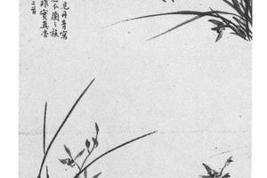 兰蕙图