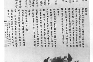 牡丹图