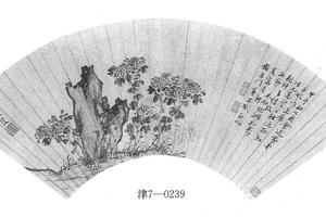 菊右图扇页
