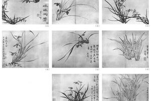 兰花图八开