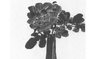 瓶花