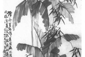 蕉竹