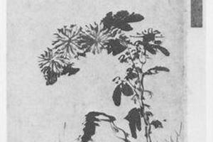 菊图