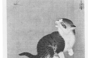 狸奴蜻蛤图