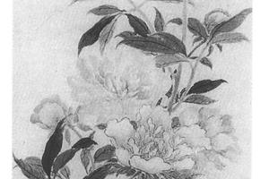 芍药图