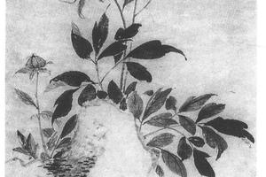 芍药蝴蝶