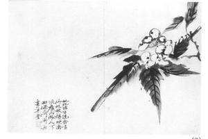 花果十二开