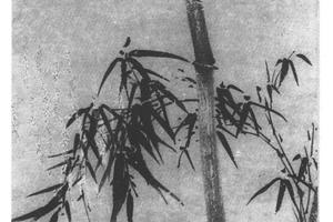 竹