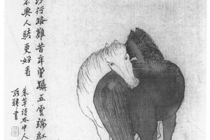 双马图