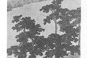 山水图