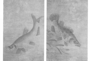 藻鱼图(对幅)