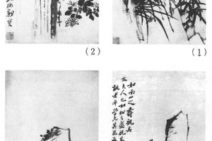 兰菊松石四条