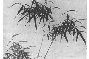 墨竹
