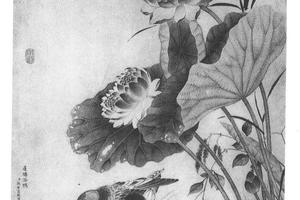 莲塘浴鸭图