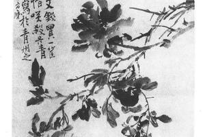 牡丹图