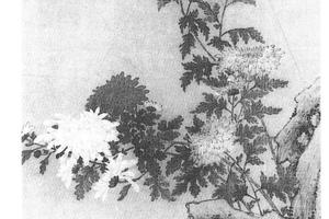 菊石图