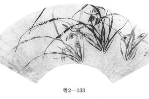 兰花