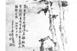 菊石梧桐图