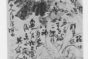 花卉图